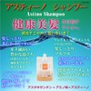 Astino Premium Shampoo 2 (Eco Bottle Type), 13.5 fl oz