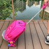 Rolling Backpack Cart, Folding Luggage Cart with Stair Climbing Wheels–Pink