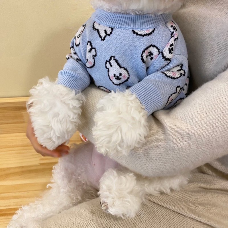Dog Clothes Cute Pattern Moderate Thickness Soft Comfortable Small Dog