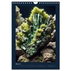 Fantastic Minerals - Mysterious Treasures (Wall Calendar 2026 DIN A4