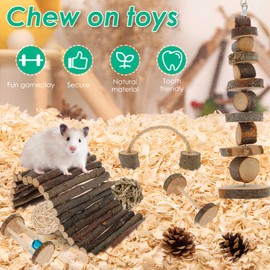 11Pcs Hamster Toys Set Natural Wood Hamster Cage Accessories with 11-Pack Different Chew Toys Natural Molar Tools for Rabbit Guinea Pig Gerbil Chinchilla