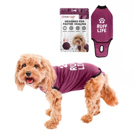 BellyGuard Recovery Suit for Dogs, Comfy Dog Surgery Suit, Female Spay and Male Neuter Onesie for Post-Op Care