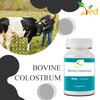 Colostrum, Transfer Factor - 500 mg x 90 Capsules