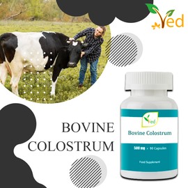 Colostrum, Transfer Factor - 500 mg x 90 Capsules