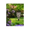 LED Solar Pendant Light Clear Total Height with Chain 50