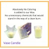 Vase Candle Honeydew Melon Large Jar Candle - Ripe Honeydew