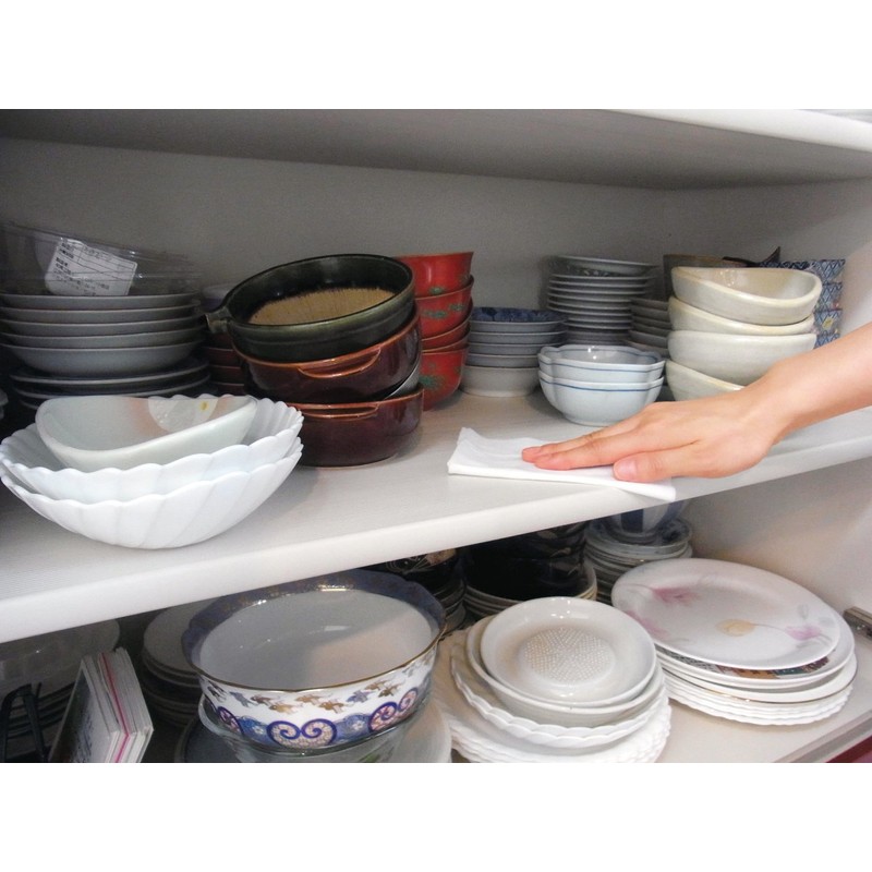 Clean While Bug, Air Freshener, Anti-Bacterial Effect fiton α Cleaner