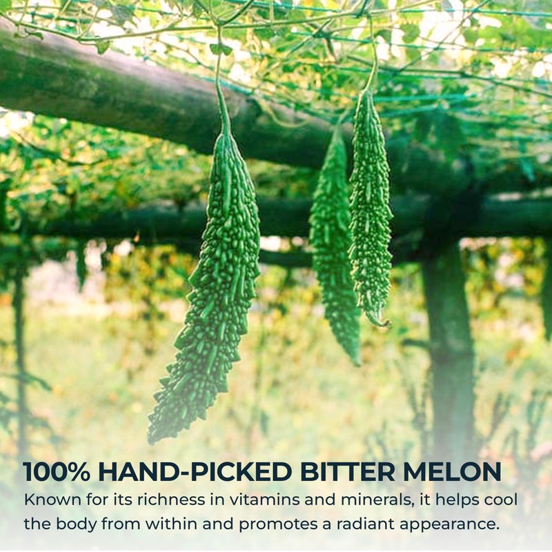 Bitter Melon Tea Bags - 70 Count (+5 Tea Bags),