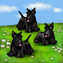 CafePress SCOTTISH TERRIER DOGS PARK Tumbled Stone - Set of 4 Coasters Set of 4 w/holder