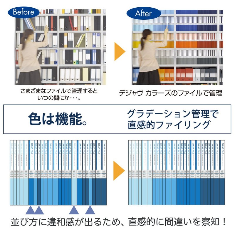 Plus 89-927 PP Letter File, A4 Vertical, 2 Holes, Back