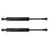 TRQ Driver & Passenger Side Liftgate Lift Support Shock Strut