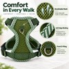 Breathable Mesh Pet Harness with Leash for Cats & Small