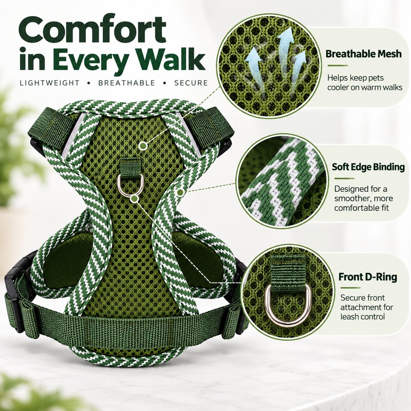 Breathable Mesh Pet Harness with Leash for Cats & Small