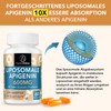 AureaSalus Liposomal Apigenin 600 mg, Extra Strong Apigenin Capsule -