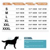 PINA Dog Coats for Small Dogs, Waterproof, Windproof, Hooded, Leash