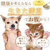 Dog Cat No Additives Enzyme Supplement (Up-And-Coming Live Enzyme G)
