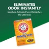 ARM & HAMMER Cat Litter Deodorizer Double Duty, 20 oz,