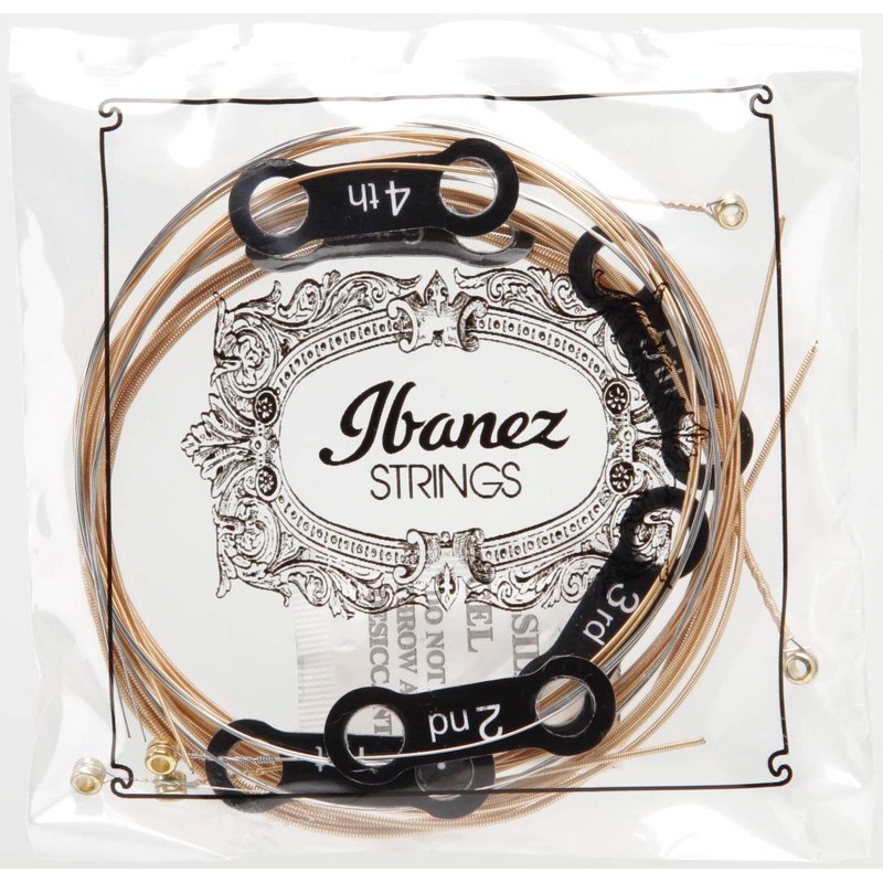 IACSP61C Western Guitar