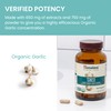 Himalaya Organic Garlic, For Lipid Metabolism and Immune Support, 1,400