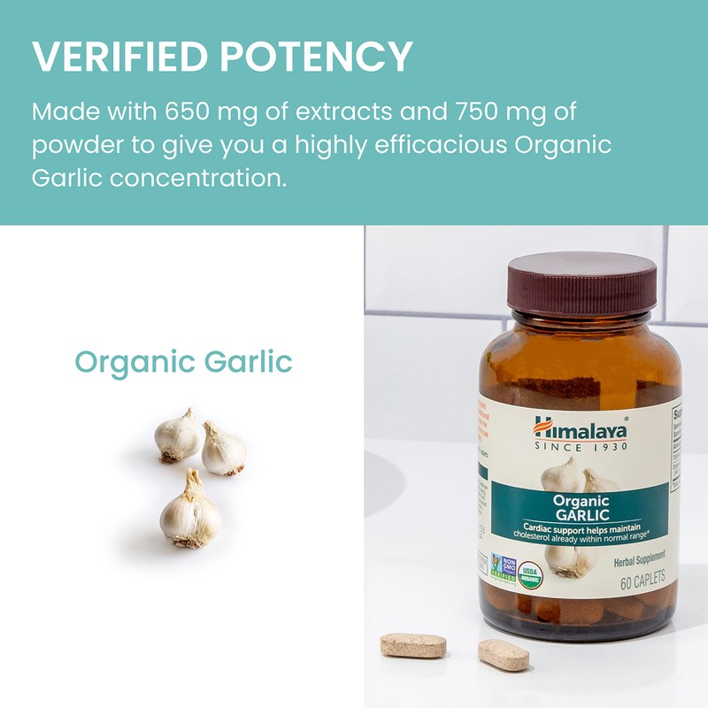 Himalaya Organic Garlic, For Lipid Metabolism and Immune Support, 1,400
