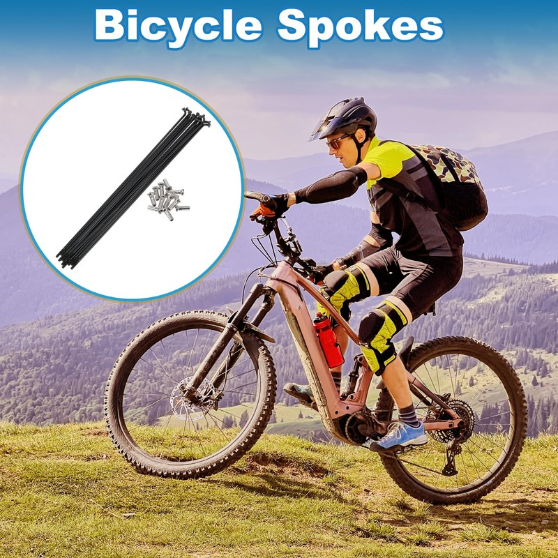 A ABSOPRO Bicycle Spoke 14G 181mm Long Bicycle Wheel Spokes