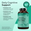 Nutravita Ginkgo Biloba 6000mg Vegan Tablets Enriched with Vitamin B5
