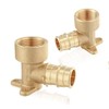 2-Pack HeSun PEX-A Fitting, 1/2" Female NPT Thread x 3/4"