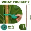 48'' Moss Pole - Monstera Plant Support - Bendable Plant