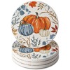 Thirstystone Autumn Pumpkins 4 Pack Round Absorbent Stone Coasters with