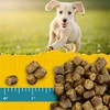 Zuke's Puppy Naturals Puppy Treats Lamb and Chickpea Recipe -