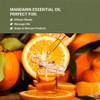 Nature Packaged Pure Mandarin Essential Oils - Direct from Citrusmade