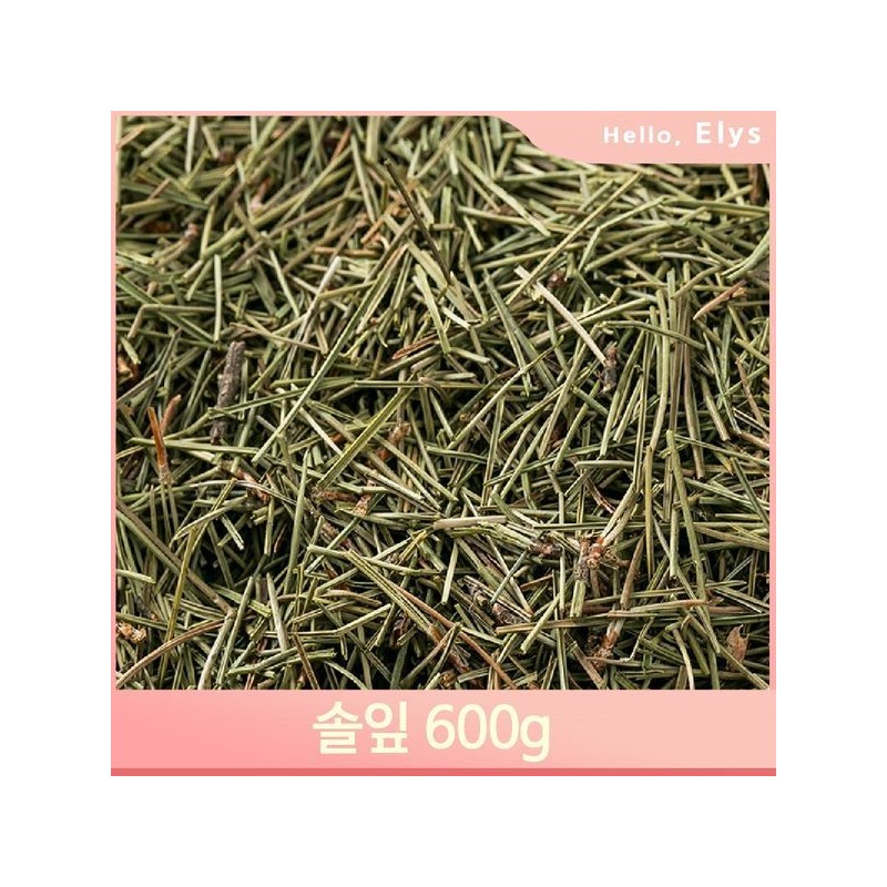 한방 소나무 잎사귀 600g 솔잎 침출차 건조 약재 영양 Herbal