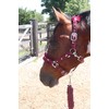 Equipride Horse Print Faux Lined Nylon Headcollars with Matching Lead
