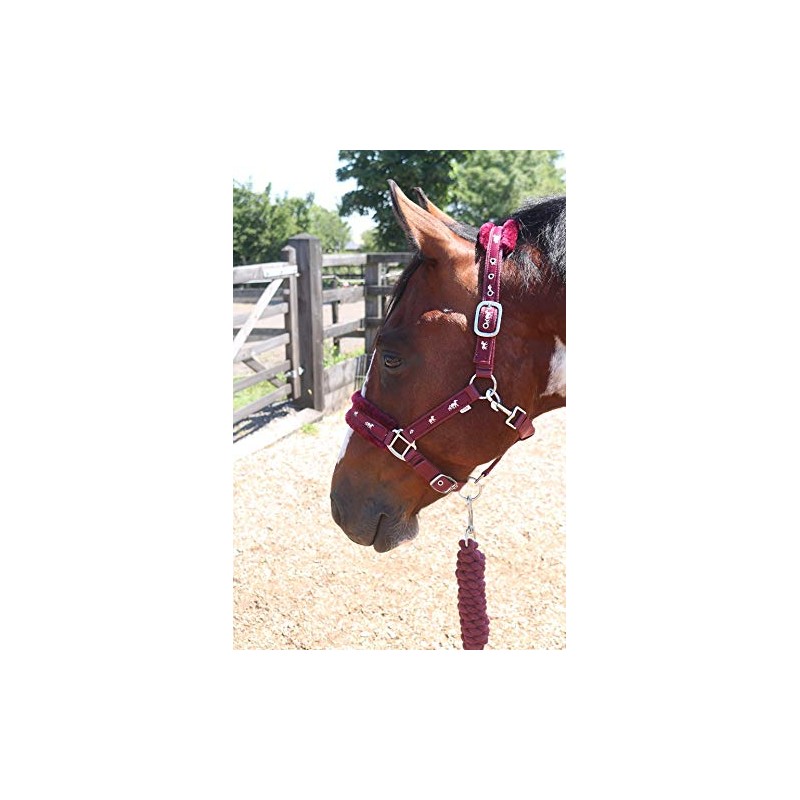 Equipride Horse Print Faux Lined Nylon Headcollars with Matching Lead