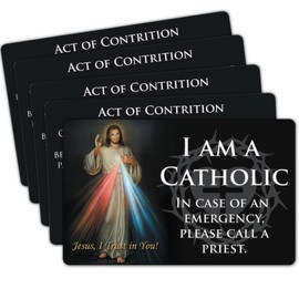 Needzo Divine Mercy Catholic ID, Wallet and Pocket Prayer Card, Religious Keepsake, 2.125 by 3.25 Inches, Pack of 5