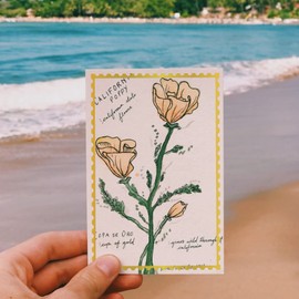 INFUNLY 13pcs Rectangle Hot Foil Plate, Glimmer Hot Foil Plates Bundle Pink Metal DIY Foil Paper Plate for DIY Embossing Scrapbooking Decor Greeting Cards Making