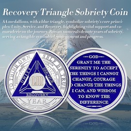 Recovery Triangle 53 Year Sobriety Coin - Silver Roman Numeral NA AA Coins - 1-65 Prime NA/HA/AA Chips and Medallions - Narcotics Alcoholics Anonymous Sober Gifts for Men Women
