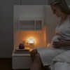 reer Mum Night Light with Motion Sensor - Night Urinary