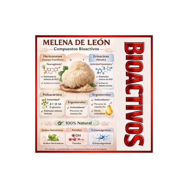 Hongo Melena De León Adaptógeno Líquido Alta Concentración
