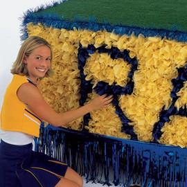 Dark Blue Pomps Tissue Squares
