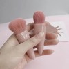 Set 5 Brochas De Maquillaje Portátil Con Estuche Y Espejo