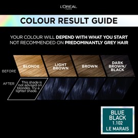 L'Oréal Paris Permanent Hair Colour, Long-Lasting Shine and Intense Colour, For up to 8 Weeks, Preference Vivids (Colorista), Blue Black 1.102, x1 pack