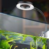 Pawfly 6 W LED Aquarium Light for 1 to 5