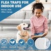 15 Pack Flea Trap Refills, 6" Replacement Glue Boards, Flea
