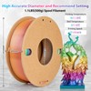 3Dgenius Silk Rainbow PLA Filament 1.75mm Silk PLA 3D Printer