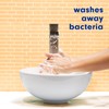 Softsoap Softsoap Antibacterial Liquid Hand Soap, Crisp Clean Scent Hand