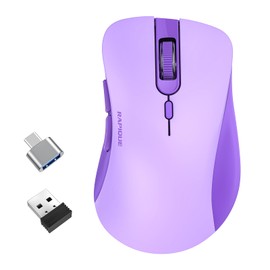 RAPIQUE Wireless Mouse - Silent Computer Mice with USB Receiver & Type-C Adapter, Low Power, Ergonomic Cordless Mouse for Laptop, PC, Desktop, MacBook, 3 Adjustable DPI Levels (Purple)