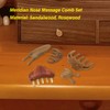 Meridian Massage Tool Kit Wood 3pcs Meridian Comb 2pcs Nose