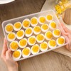 HANSGO Deviled Egg Carrier with Lid,2 Pack Deviled Egg Containers