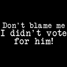 Political Parody Don't Blame Me I Didn't Vote for Him Symbol Vinyl Sticker Car Decal (6" Black)